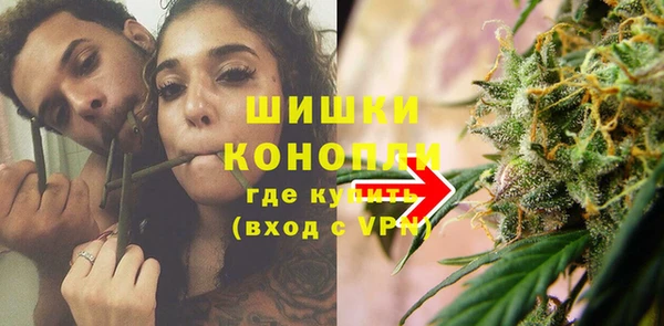 ПСИЛОЦИБИНОВЫЕ ГРИБЫ Алзамай