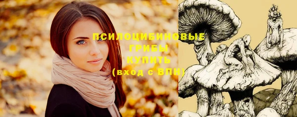 ПСИЛОЦИБИНОВЫЕ ГРИБЫ Алзамай
