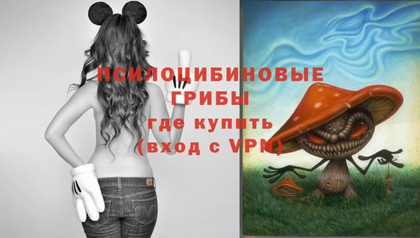 ALPHA PVP Алексин